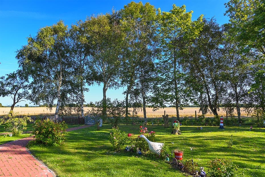 Foto aus der Fotogruppe 