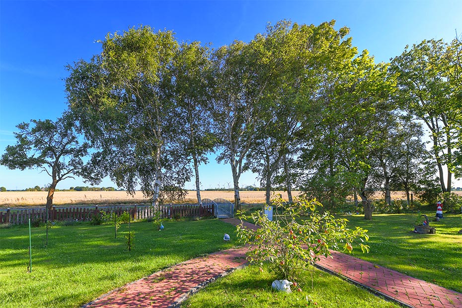 Foto aus der Fotogruppe 