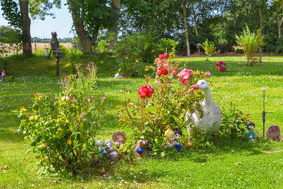 Foto aus der Fotogruppe 