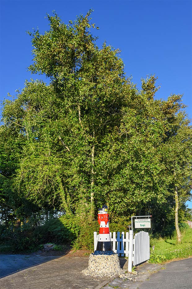 Foto aus der Fotogruppe 